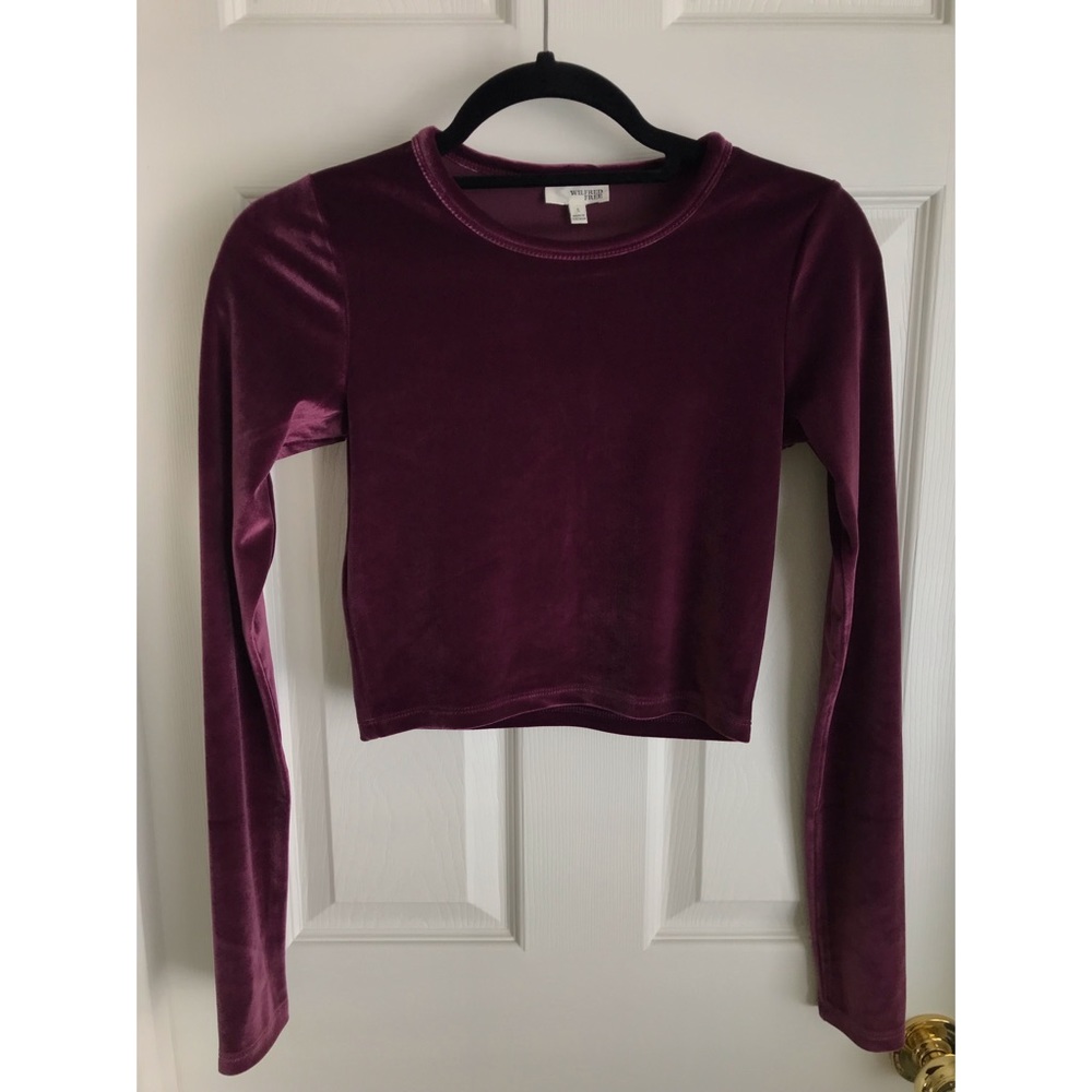 Aritzia Wilfred Free Velvet Crop Top
